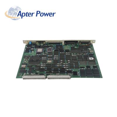 CP81B*C