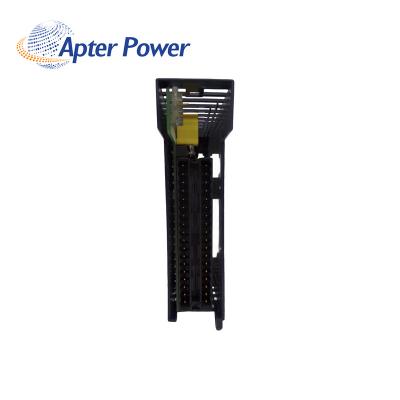 IC695ALG704